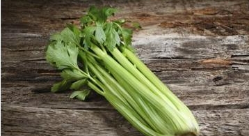 Celery