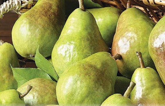 Bartlett Pears