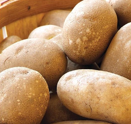 Russet Potatoes