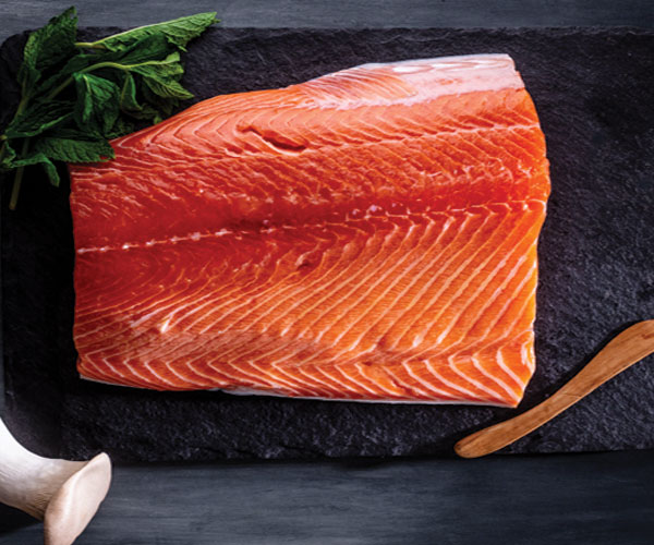 Canadian Salmon Fillets