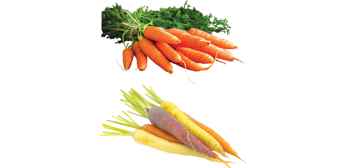 Orange or Rainbow Bunch Carrots