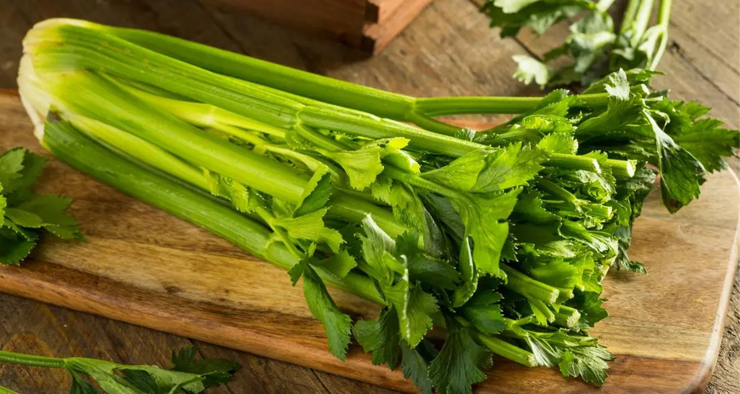 Fresh Celery