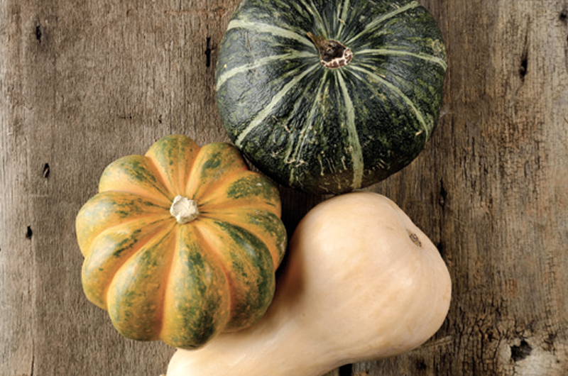 Kabocha Squash