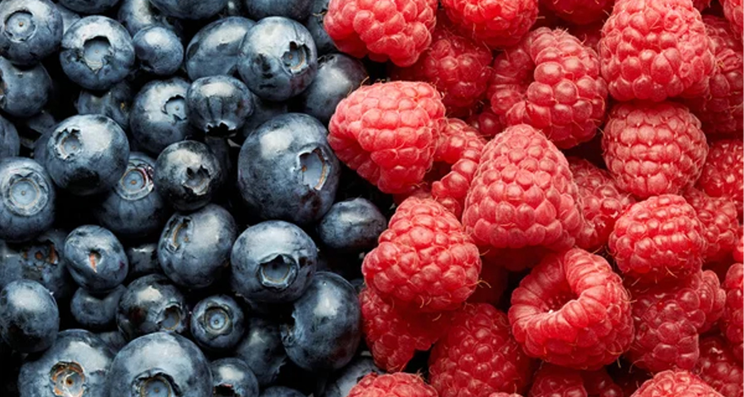 Blueberries or Raspberries