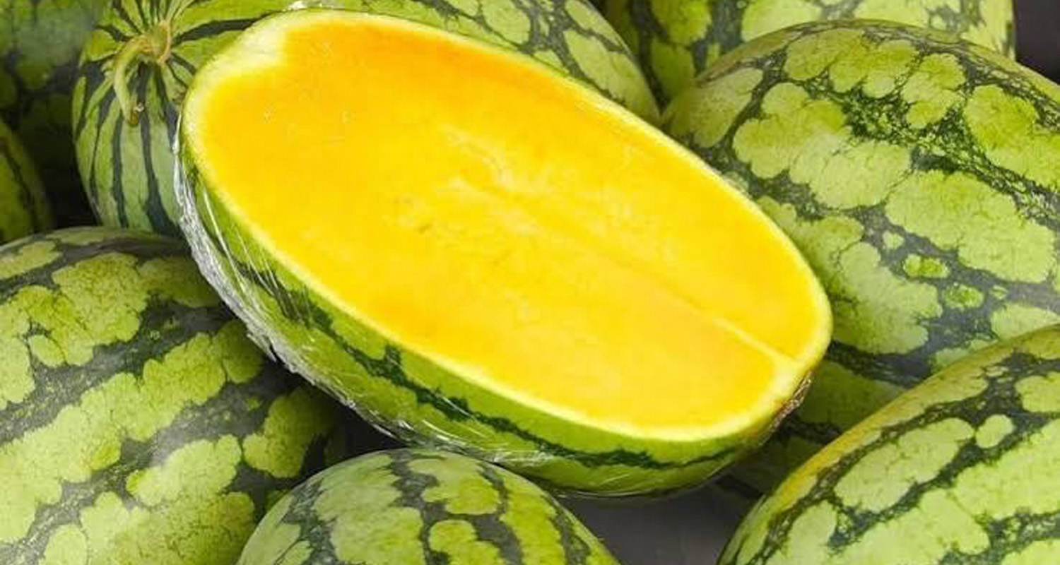 Yellow Watermelons