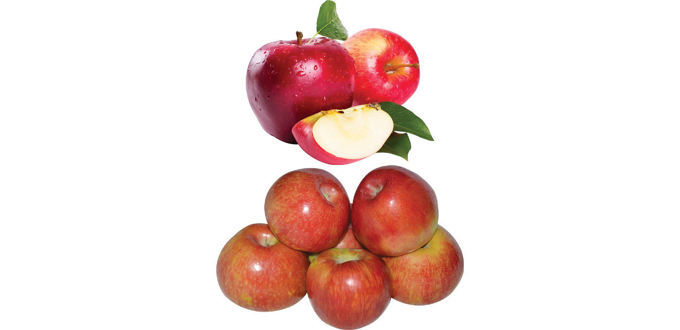 Sugar Bee or Honeycrisp Apples