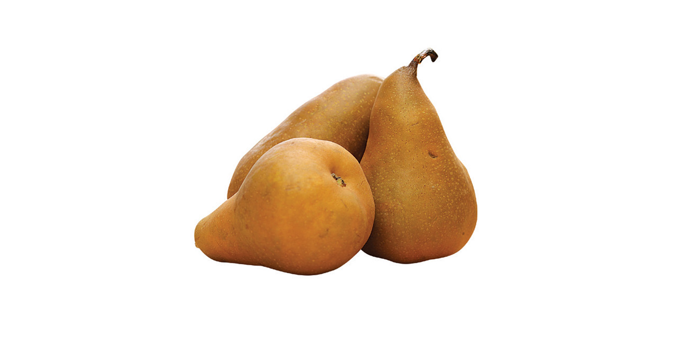 Bosc Pears