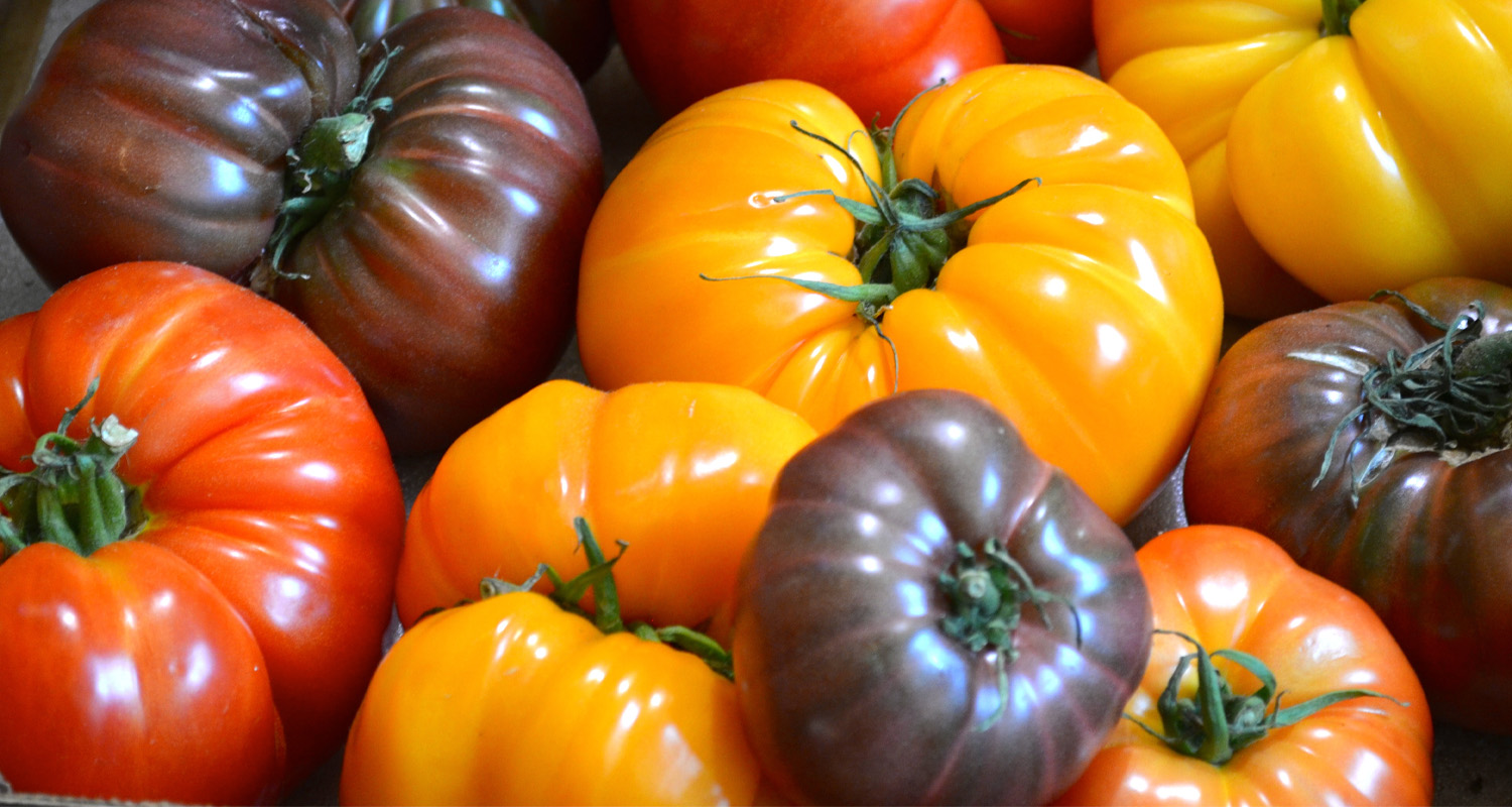 Heirloom Tomatoes