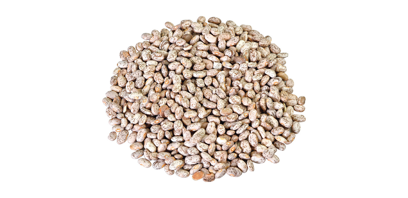 Pinto Beans