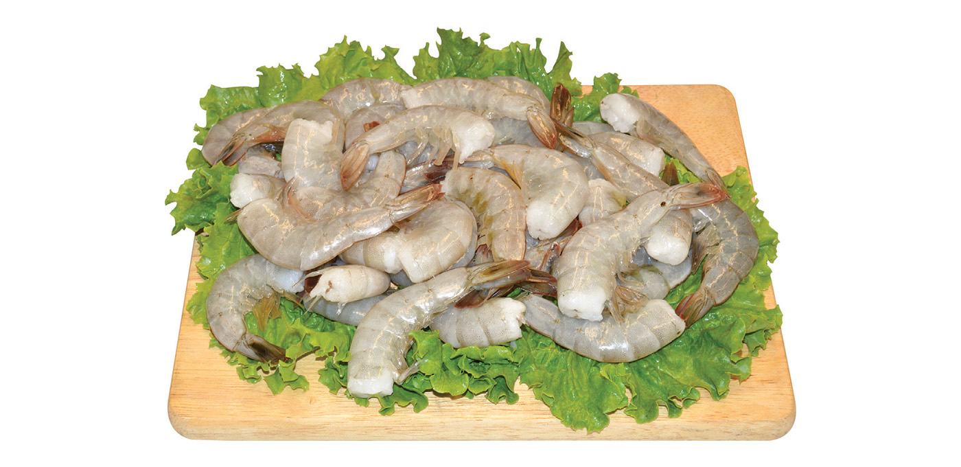 Shrimp