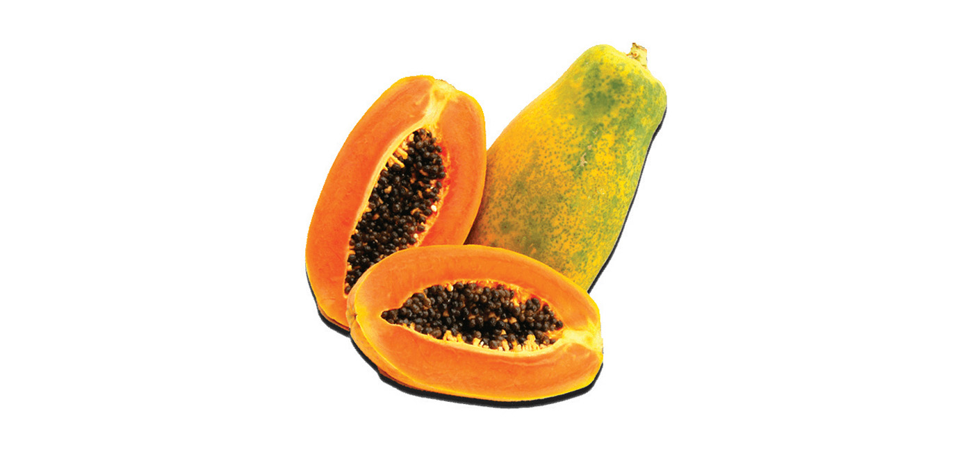 Maradol Papaya