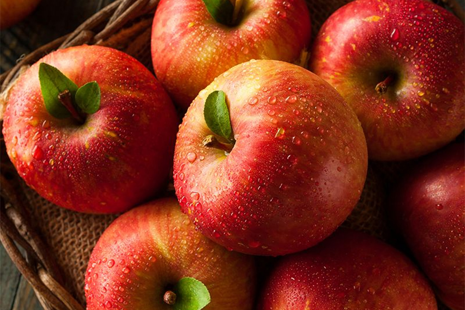 Fuji Apples