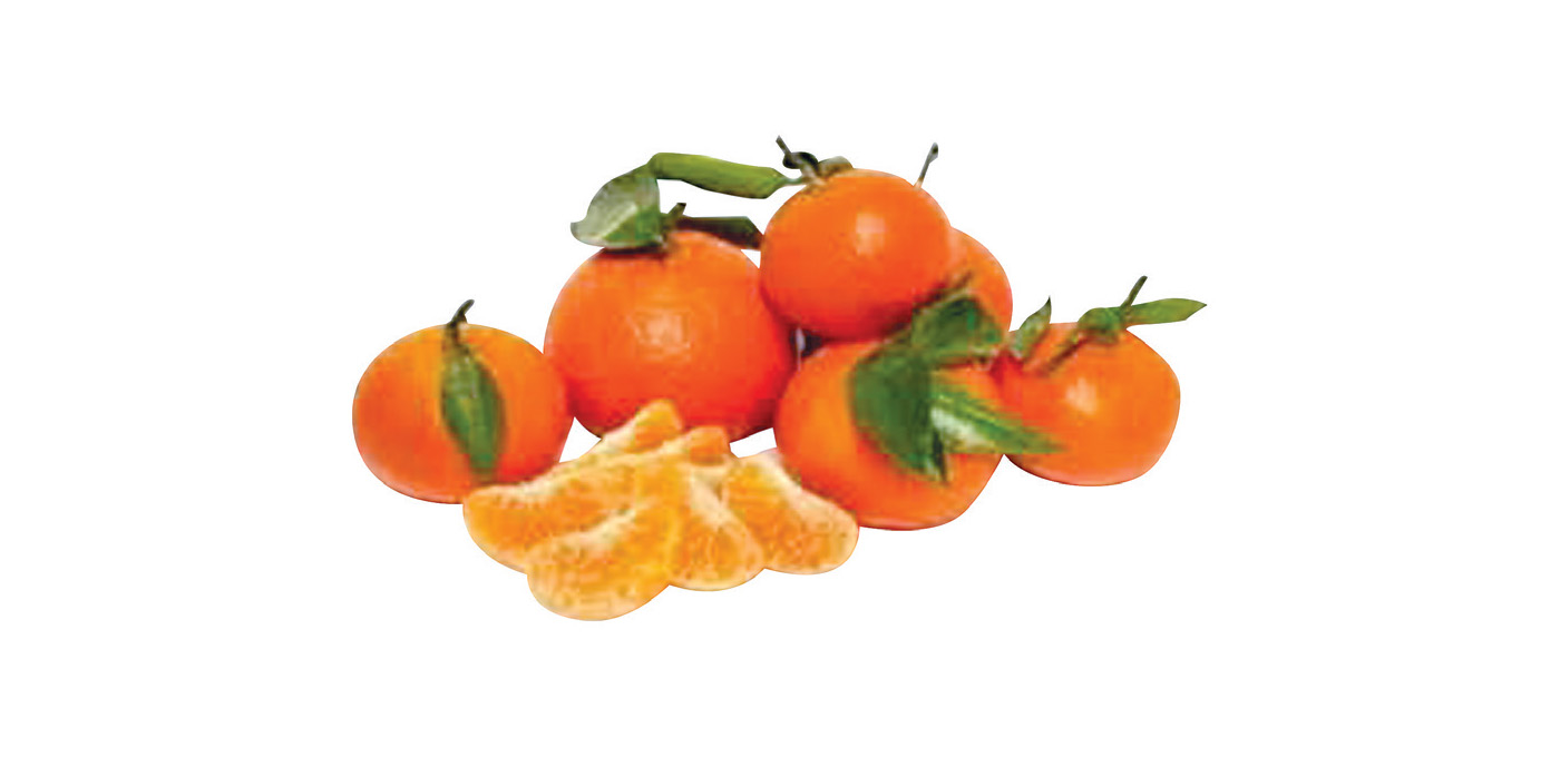 Murcott Mandarins
