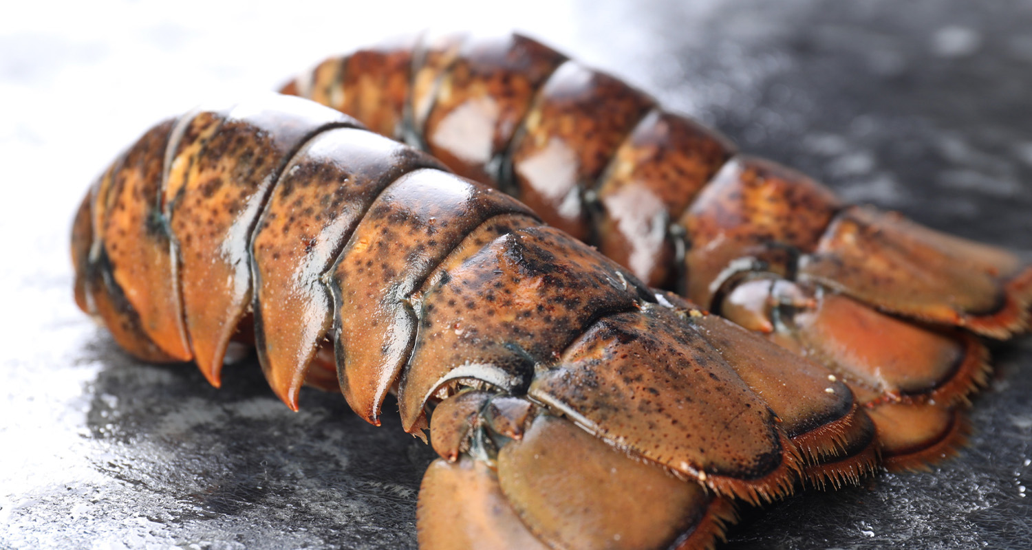Lobster Tails